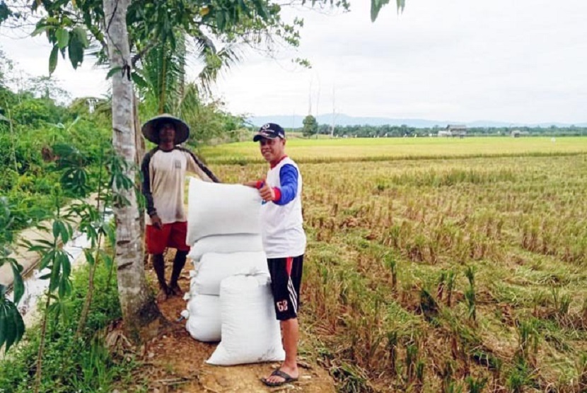 Provinsi Sulawesi Tengah khususnya Kabupaten Banggai terus berupaya memenuhi kebutuhan pangan melalui peningkatan produksi padi. 