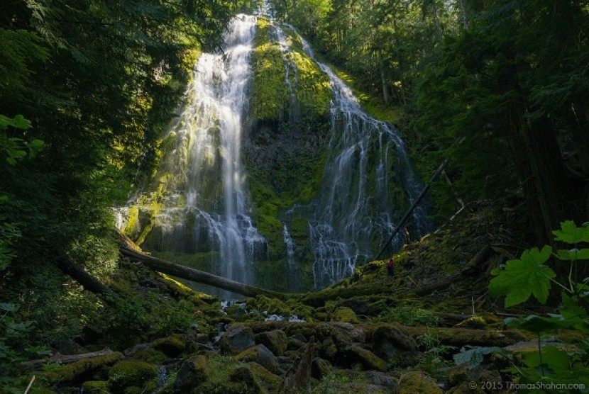 Proxy Waterfall