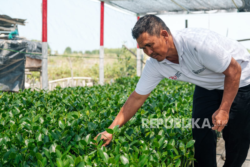 Proyek Penguatan Perhutanan Sosial di Indonesia atau Strengthening of Social Forestry in Indonesia Project (Proyek SSF). 