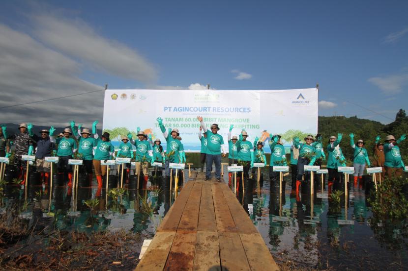 PT Agincourt Resources melakukan aksi tanam mangrove sebagai upaya implementasi ESG perusahaan.