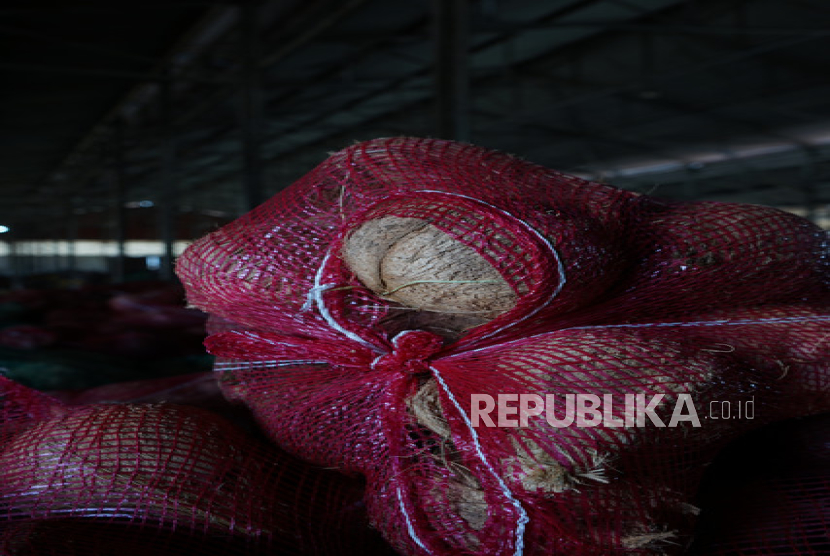 PT Amalia Barokah Indonesia mengekspor kelapa ke pasar Thailand. Bea Cukai Teluk Nibung menyatakan, ekspor perdana ini berhasila dilakukan berkat sinergi berbagai instansi. 