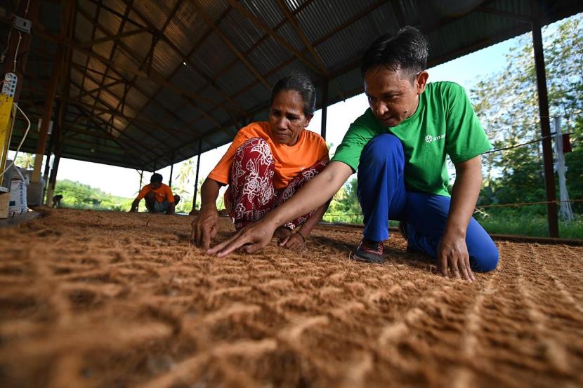 PT Aneka Tambang Tbk (Antam) melalui Unit Bisnis Pertambangan (UBP) Nikel Maluku Utara beri pendampingan terhadap petani kelapa tingkatkan perekonomian.