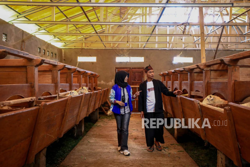 Penyaluran KUR BRI Dorong Setengah Juta Pengusaha UMKM Naik Kelas