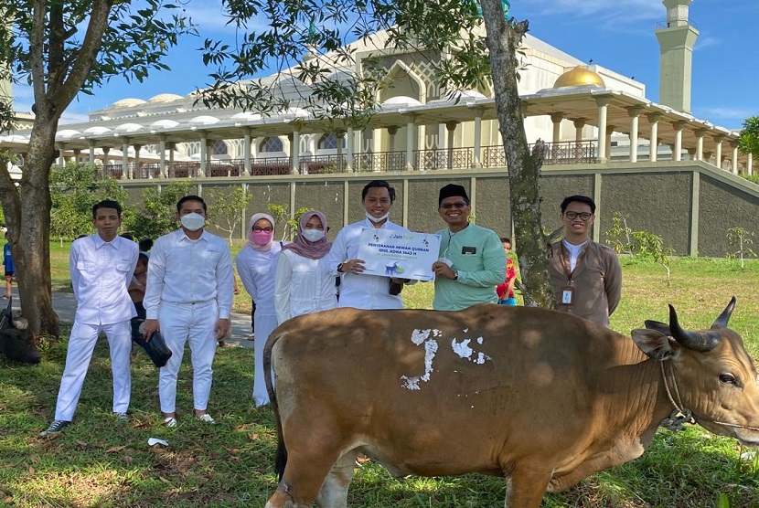 PT Jamkrindo Syariah turut memeriahkan Hari Raya Idul Adha dengan menyalurkan 24 ekor sapi kurban ke sekitar wilayah kerja JamSyar baik di Kantor Pusat maupun di Kantor Cabang.