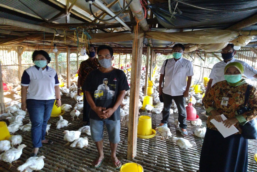 PT Japfa Comfeed sudah melakukan pembelian livebird di farm broiler peternak mandiri milik Sugeng Wahyudi (anggota GOPAN) di Dramaga Tanjakan Bogor