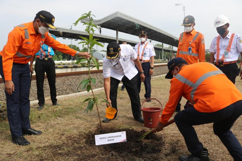 PT Kereta Api Indonesia (KAI) Daop 3 Cirebon melakukan penanaman pohon jenis Trembesi dan Mangga Kiojay di beberapa stasiun di wilayah kerja mereka