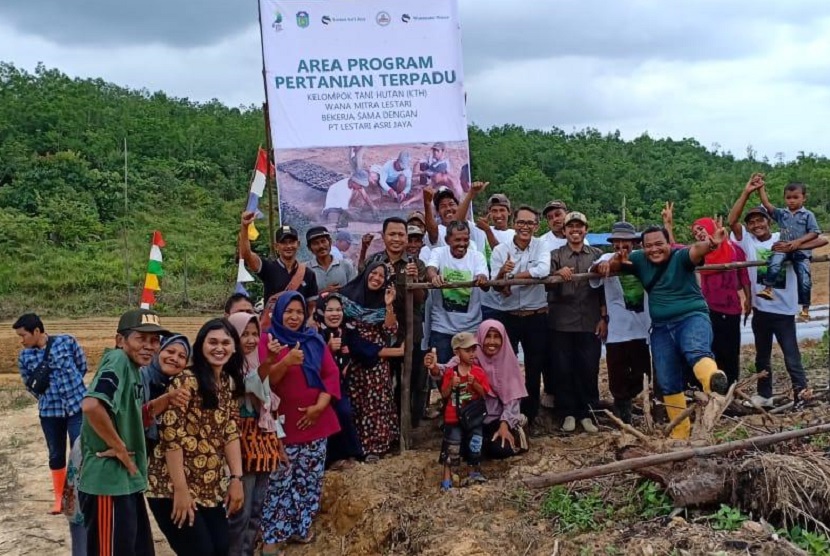 PT Lestari Asri Jaya (LAJ) perusahaan pengelola Hutan Tanaman Industri (HTI) Karet menggelar kegiatan tanam perdana pertanian terpadu yang merupakan bagian dari program pembinaan dan pelatihan kepada petani penggarap skala kecil.