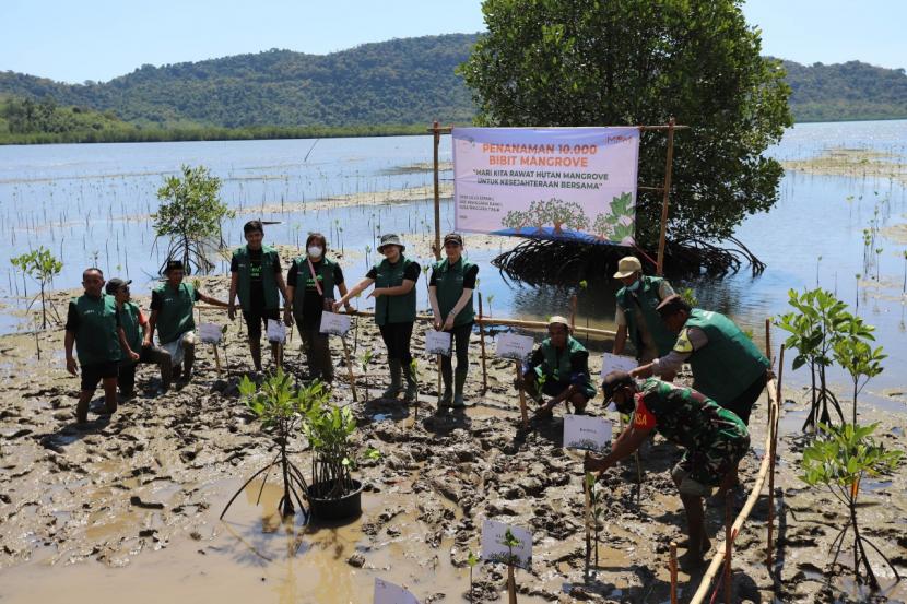 PT Mitra Pinasthika Mustika Tbk (MPMX, Perseroan) mengadakan kegiatan penanaman mangrove sebagai bagian dari peresmian wilayah rehabilitasi dan penanaman 10 ribu bibit mangrove di Desa Golo Sepang, Kecamatan Boleng, Kabupaten Manggarai Barat, NTT, Selasa (26/7/2022).