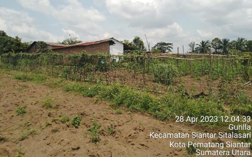 PT Perkebunan Nusantara PTPN III (persero) terus berusaha melakukan penyelesaian perselisihan penggunaan lahan areal HGU secara persuasif dan humanis. PTPN III menawarkan suguh hati/tali asih kepada sedikit penggarap yang masih bertahan menguasai areal tersebut.