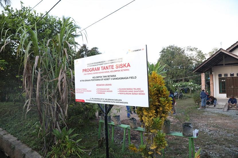 PT Pertamina EP Sangasanga Field (PEP Sangasanga Field) sukses dalam menjalankan program Pertanian Terpadu Sistem Inovasi Sosial Kelompok Setaria (TANTE SISKA) di Desa Sarijaya, Kecamatan Sangasanga, Kabupaten Kutai Kartanegara, Kalimantan Timur. 