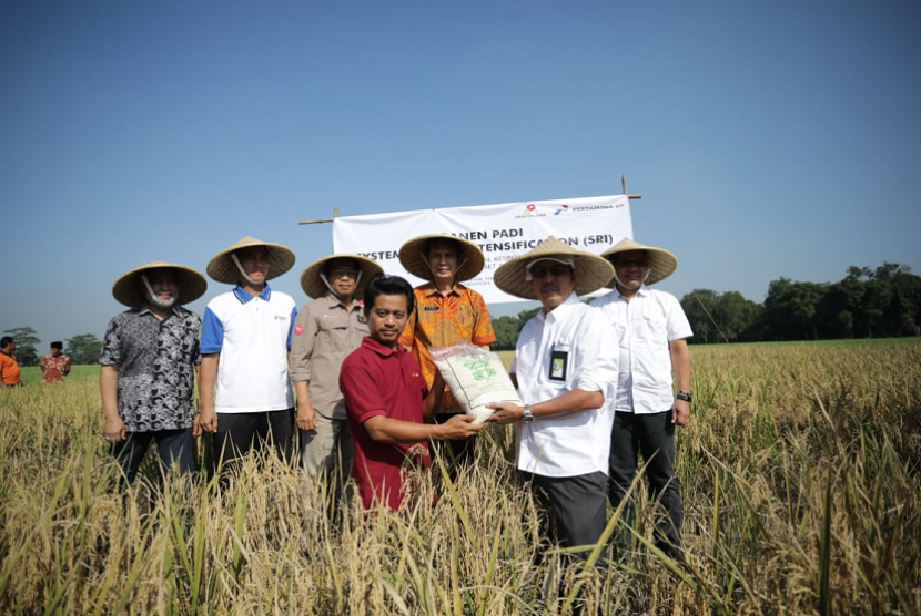 PT Pertamina EP turut berpartisipasi mengembangkan padi berkualitas unggul melalui System of Rice Intensification (SRI).