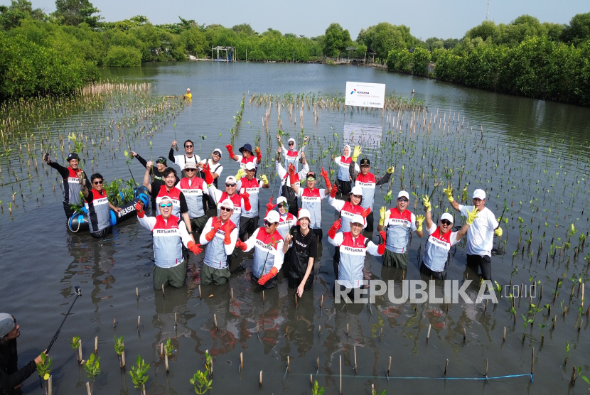 PT Pertamina Internatinal Shipping (PIS) bersama sejumlah kalangan baru saja melakukan penanaman 20 ribu bibit mangrove di Pantai Tanjung Pasir, Tangerang, pada Ahad (27/7/2025)