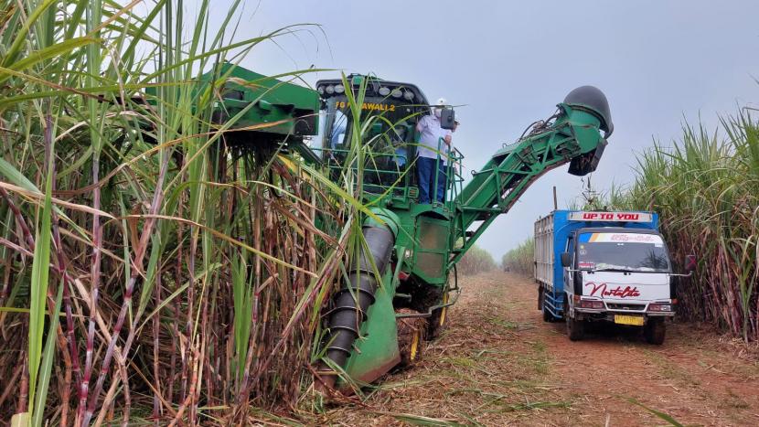 Holding pangan atau ID Food berkomitmen untuk meningkatkan kolaborasi bersama petani tebu untuk stabilitas rantai pasok gula dalam negeri. 