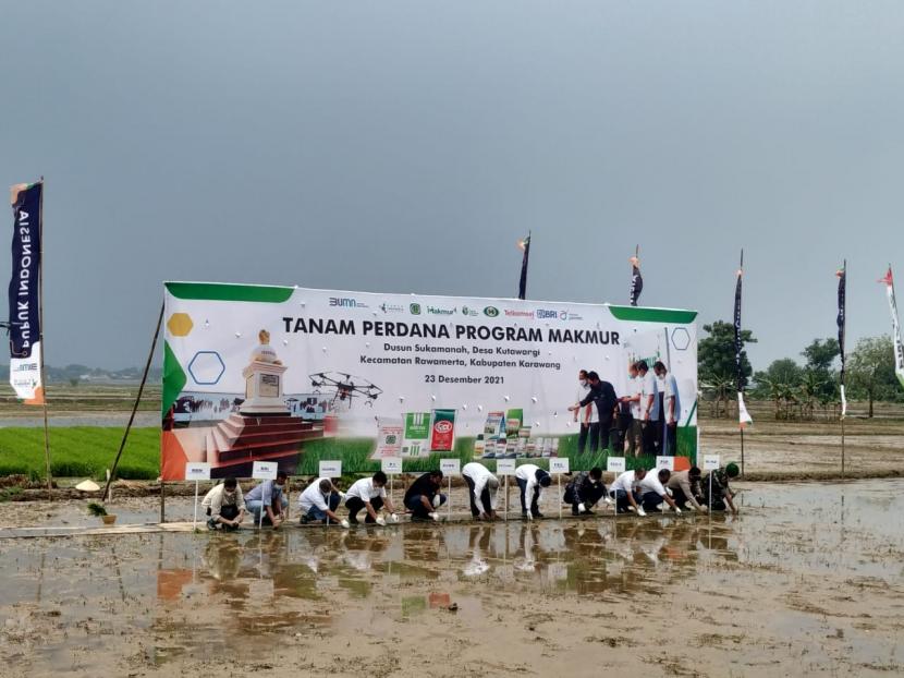 PT Pupuk Indonesia (Persero) bersama para petani menggelar tanam padi perdana dengan pendampingan program Makmur di Desa Sukamanah, Kecamatan Rawamerta, Kabupaten Karawang, Jawa Barat, Kamis (23/12). 