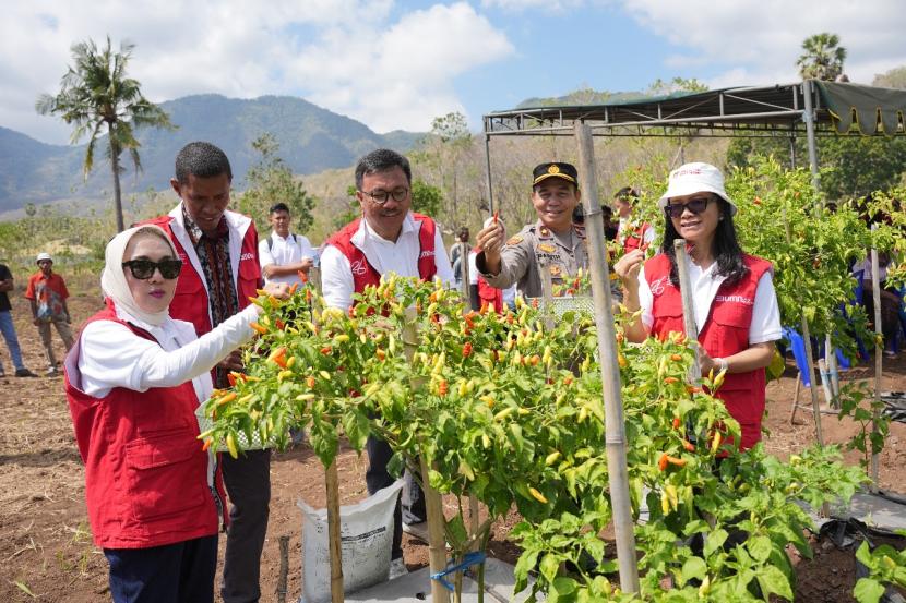 PT Pupuk Indonesia (Persero) mengimplementasikan Program Tani Maju Makmur Sejahtera (Tajumase) di dua desa di Kabupaten Lembata, Nusa Tenggara Timur (NTT) dalam program relawan Bakti BUMN Batch VI. 