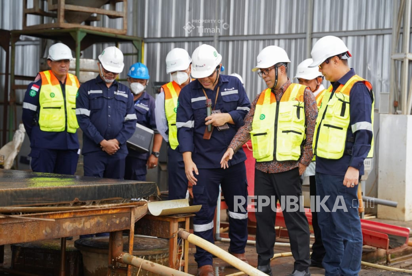 PT Timah Jadi Pelopor Pengelolaan Logam Tanah Jarang di Indonesia