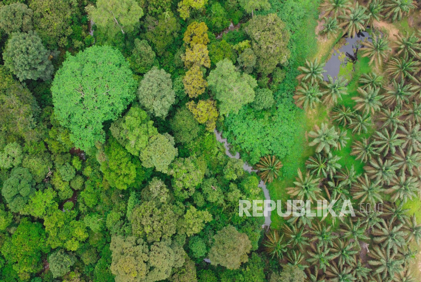 PTPN IV PalmCo mengusung pendekatan keberlanjutan dalam pengelolaan bisnisnya yang dimulai dari perlindungan kawasan hutan bernilai konservasi tinggi (High Conservation Value/HCV). Subholding dari PTPN III (Persero) ini mengelola lebih dari 14 ribu hektare kawasan HCV yang tersebar pada 96 lokasi di Sumatera dan Kalimantan.