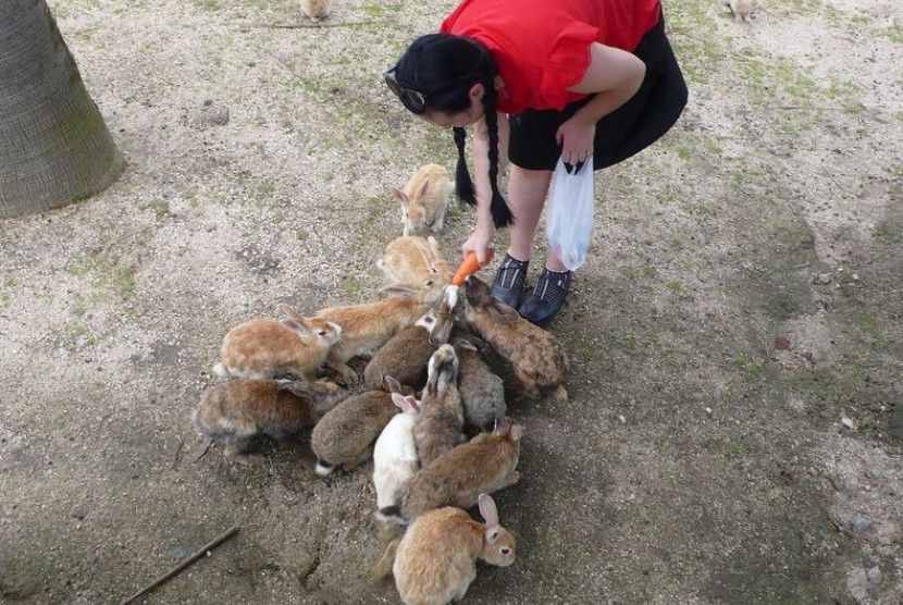 Pulau Okunoshima di Jepang yang penuh dengan kelinci