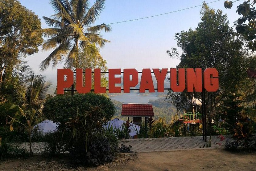 Pule Payung banyak bekerja sama dengan berbagai perguruan tinggi salah satunya Universitas BSI (Bina Sarana Informatika) kampus Yogyakarta.  Melalui program Tri Dharma Perguruan Tinggi berupa pengabdian kepada masyarakat, Universitas BSI kampus Yogyakarta memberikan pelatihan pengembangan destinasi pada Sabtu, 5 Juni 2021 lalu.