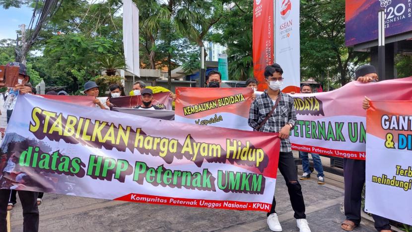 Puluhan peternak yang tergabung dalam Komunitas Peternak Unggas Nasional (KPUN)  menggelar aksi demonstrasi di depan Kantor Kementerian Perdagangan, Jakarta, Selasa (10/1/2023). Mereka menuntut perbaikan harga ayam broiler yang anjlok dan menyebabkan kerugian. 