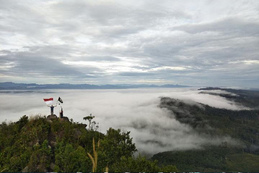 Puncak Aliantan, Kabupaten Rokan Hulu, Riau