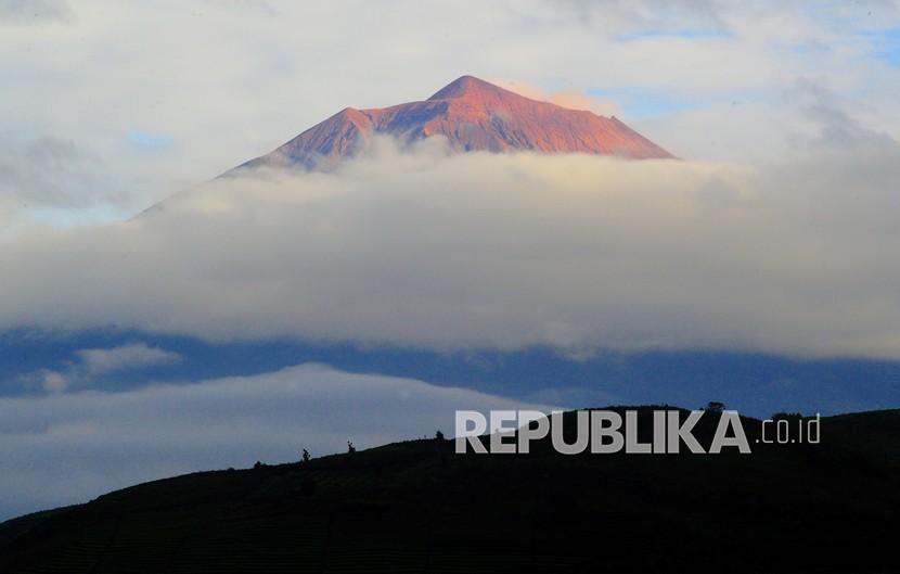 Pendaki Gunung Kerinci Harus Tunjukkan Bukti Vaksinasi. Puncak Gunung Kerinci (3805 mdpl) di antara hamparan awan saat matahari terbit pada awal tahun 2021 di Kayu Aro, Kerinci, Jambi, Jumat (1/1/2021).