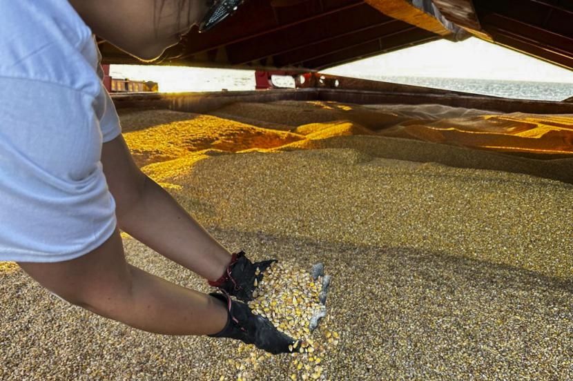Pemerintah Ukraina telah mengajukan gugatan hukum ke Organisasi Perdagangan Dunia (WTO) terkait keputusan pelarangan impor gandum serta biji-bijian asal negaranya oleh Polandia, Slovakia, dan Hongaria