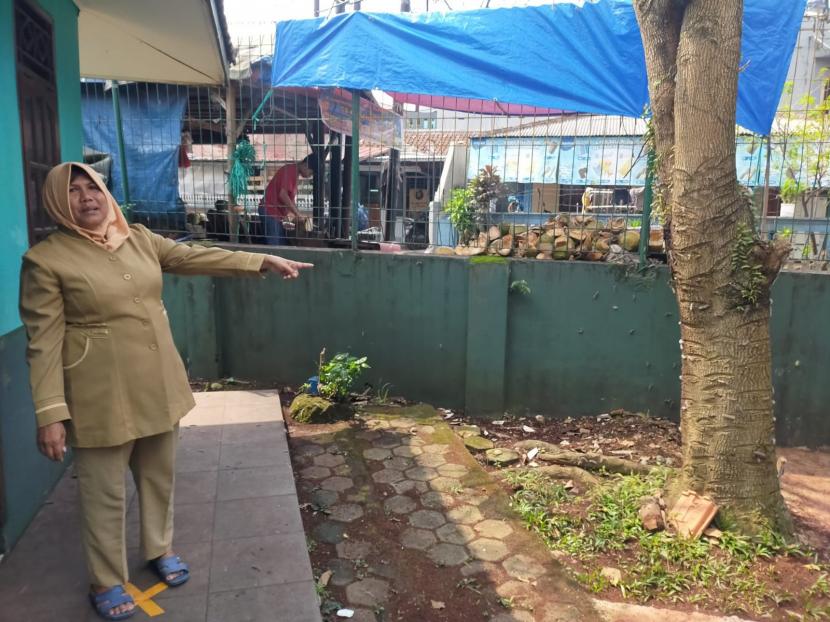 Pustakawati SDN Bantar Kemang, Kota Bogor, Dona Yunita, menunjuk pohon alpukat yang disinyalir menjadi penyebab serangan ulat bulu ke sekolah, Senin (20/6).