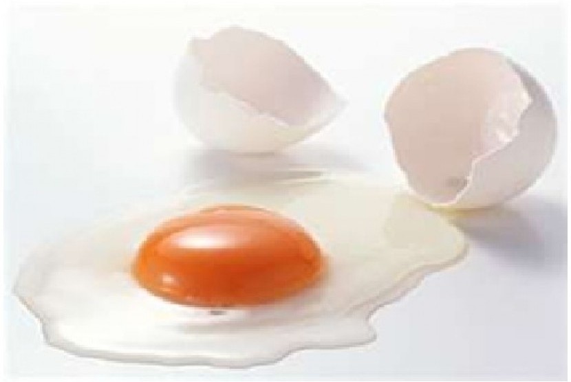 putih telur 