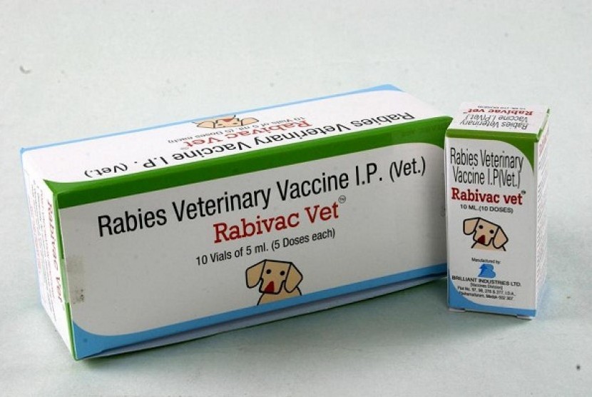 Rabies vaccine (illustration)