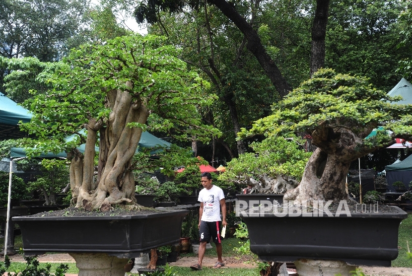 Dosen Lampung Kembangkan Aplikasi Pemonitoran Flora Fauna Republika Online