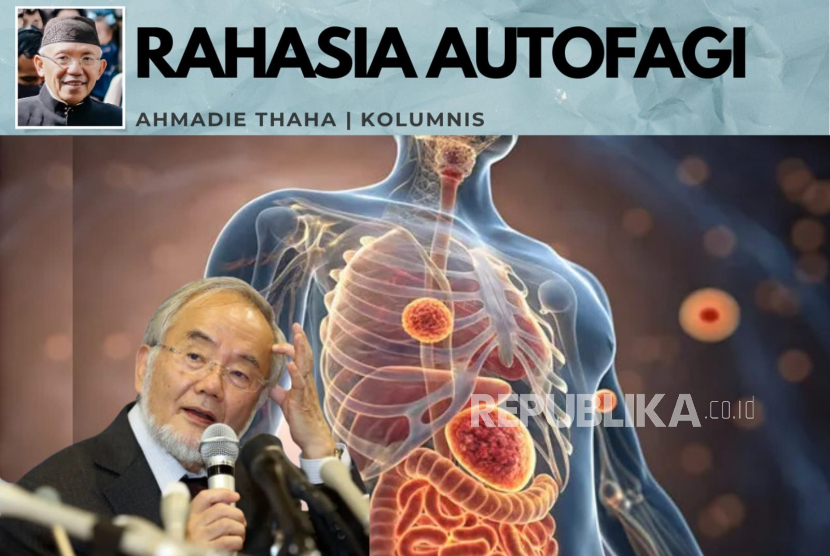 Rahasia Autofagi