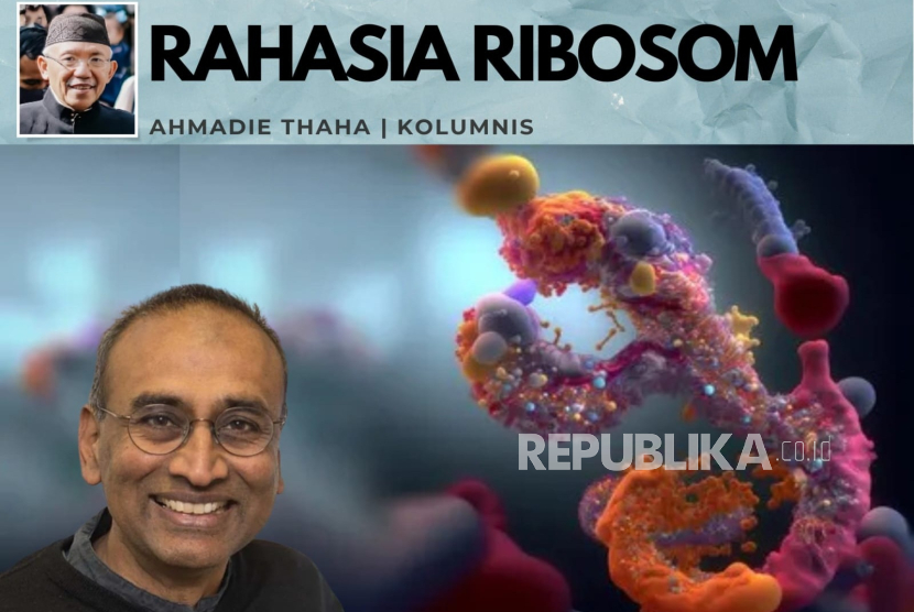 Rahasia Ribosom