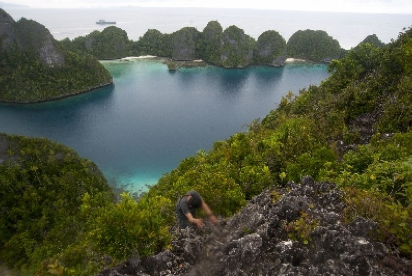Raja Ampat, a tourist destination in Papua (illustration)