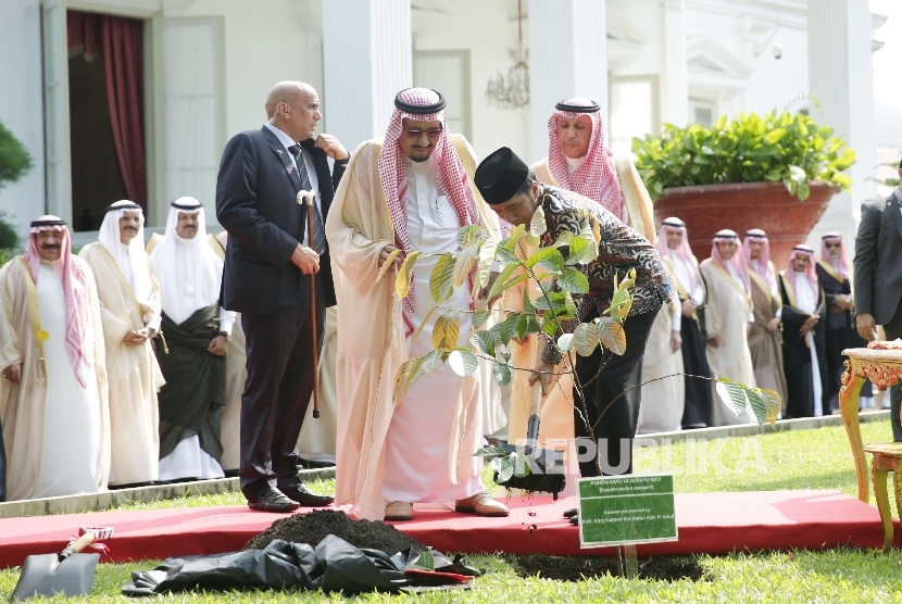 Raja Arab Saudi Salman bin Abdulazis Al-Saud bersama Presiden Joko Widodo menanam Pohon Ulin saat kunjungan kenegaraan di Istana Merdeka, Jakarta, Kamis (2/3). 