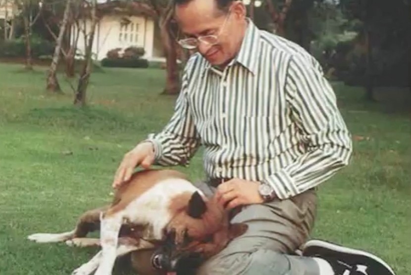 Raja Thailand, Bhumibol Adulyadej dan anjingnya, Tongdaeng