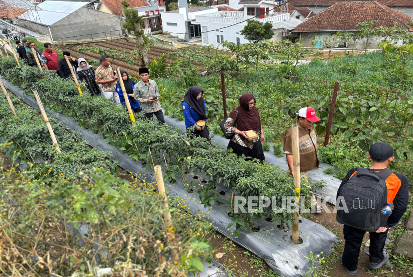 Buat Petani Melek Digital, Kemenko PM Gelar Pelatihan di Kopontren Al-Ittifaq