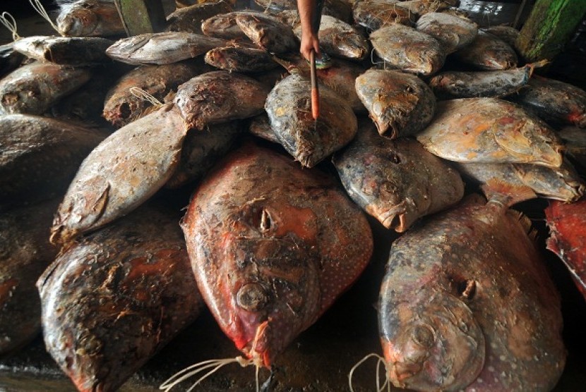 Red tunas are unloaded from a fisherman ship at fish market in Muara Baru, North Jakarta. (illustration)