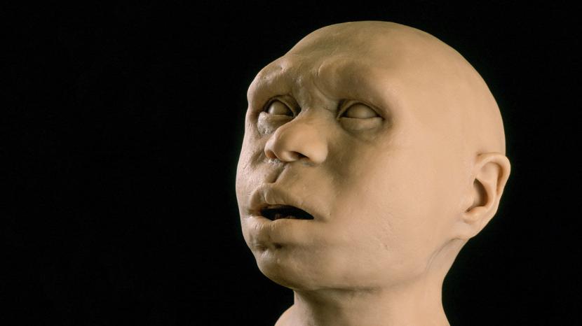 Rekonstruksi wajah  Homo antecessor yang hidup 800 ribu tahun lalu di Spanyol.