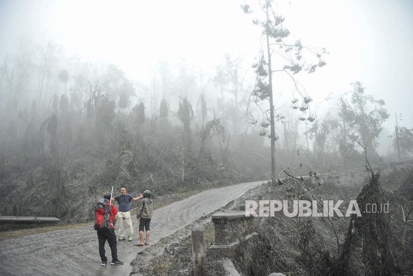 Relawan dari Bali Rumah Singgah Satwa berada di dekat pepohonan yang mati akibat abu vulkanis saat mencari hewan-hewan terdampak bencana Gunung Agung, di Sebudi, Karangasem, Bali, Ahad (3/12). 