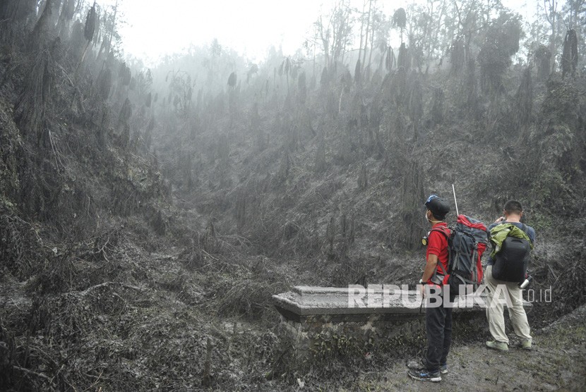 Relawan dari Bali Rumah Singgah Satwa memperhatikan pepohonan yang mati akibat abu vulkanis saat mencari hewan-hewan terdampak bencana Gunung Agung, di Sebudi, Karangasem, Bali, Ahad (3/12).
