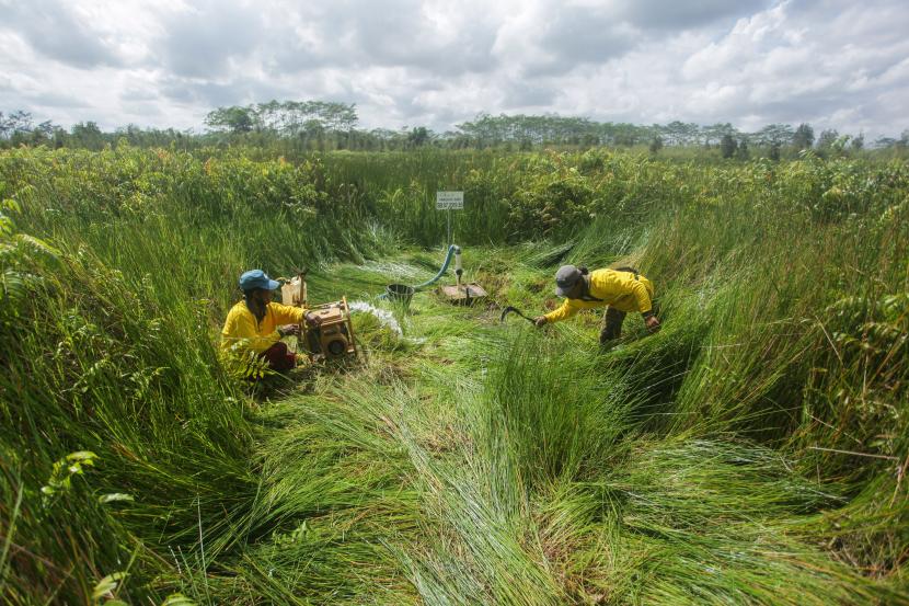 Relawan melakukan proses pembasahan pada lahan gambut di Kalimantan Tengah (ilustrasi). Badan Restorasi Gambut menggelontorkan dana sebesar Rp 13,6 miliar untuk merevitalisasi lahan pertanian di Kalimantan Tengah.