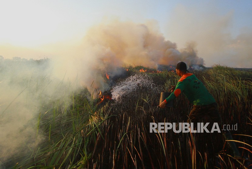 Relawan pemadam kebakaran berupaya memadamkan kebakaran lahan gambut di Kecamatan Bati-Bati, Kabupaten Tanah Laut, Kalimantan Selatan, Ahad (1/9/2019). 