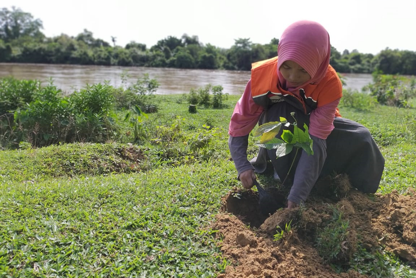 Relawan Rumah Zakat bantu menghijaukan Nusantara dengan gerakan menanam pohon serentak.