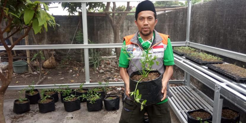 Relawan Rumah Zakat bersama anggota kelompok Kebun Gizi Mekar Alami terus melakukan pembenahan dan persiapan dalam memajukan Kebun Gizi Binaan Rumah Zakat di Lingkungan Karang Buaya Pagutan Timur, Kecamatan Mataram, Kota Mataram.