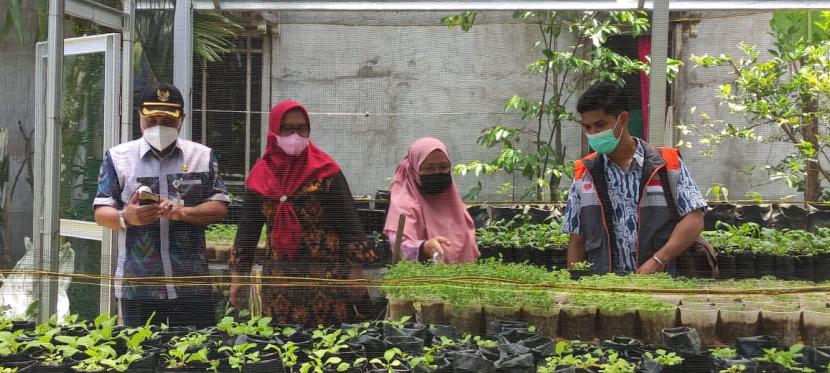 Relawan Rumah Zakat beserta Camat Pontianak Timur dan Lurah Banjar Serasan melakukan kunjungan ke Demplot Sayuran yang dikelola Kelompok Tani Dasawisma Borneo di Kelurahan Banjar Serasan, Kamis (16/9).