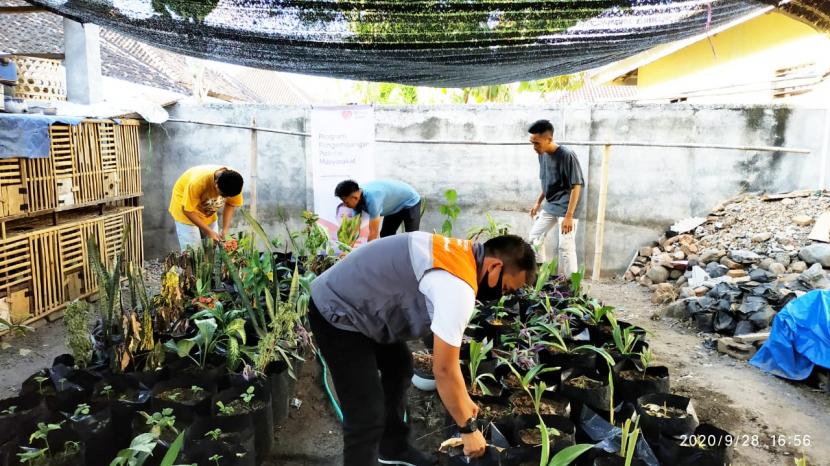 Relawan Rumah Zakat melakukan pembinaan terhadap Kelompok Kebun Gizi Daspen Lestari.