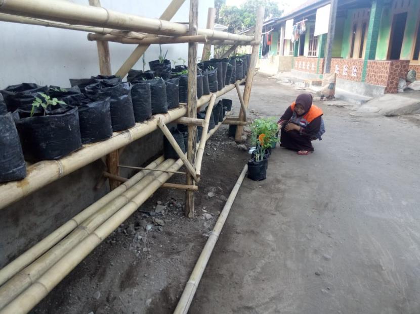 Relawan Rumah Zakat melakukan pendampingan penyiraman tanaman sayur di pekarangan kader posyandu yang sejak satu bulan lalu sudah dilakukan penyemaian dan pemindahan ke polybag.