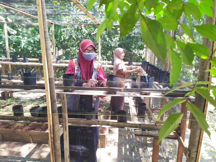 Relawan Rumah Zakat menginisiasi pembuatan kebun gizi di Desa Berdaya Kubangsari, Senin (30/8).
