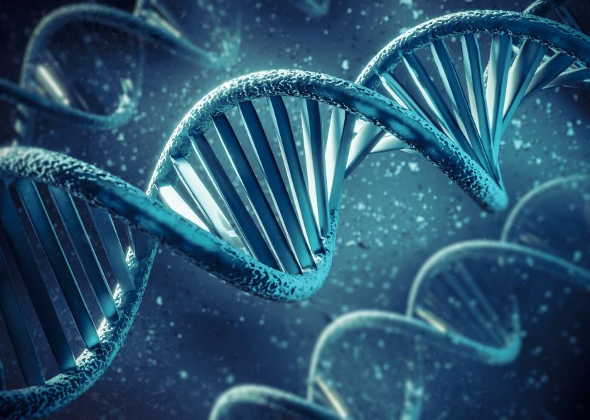 Representasi DNA dalam bentuk 3D (ilustrasi). Peneliti mengungkap studi yang memprediksi kromosom Y pada manusia akan menghilang dalam jutaan tahun ke depan.